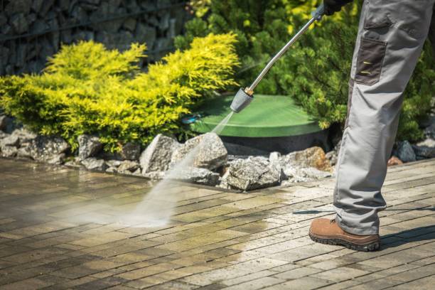 Best Roof Cleaning and Mildew Removal in Wrightwood, CA