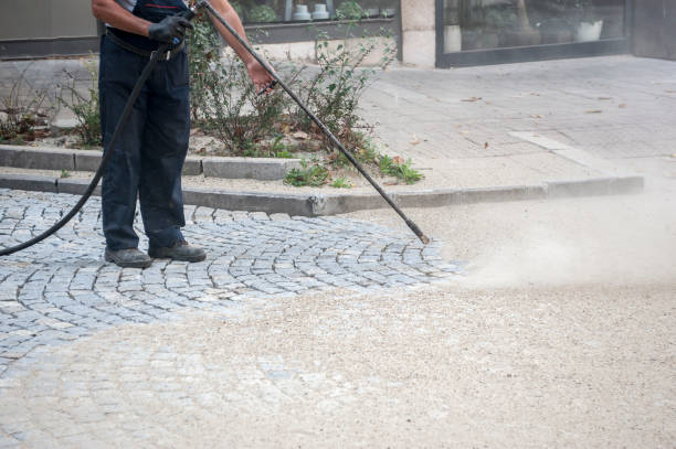 Best Oil and Grease Removal from Surfaces in Wrightwood, CA
